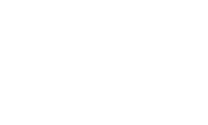 bb bold logo white